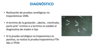 • Realización de pruebas serológicas no
treponémicas VDRL
• A termino de la gestación , aborto , mortinato,
parto pret´´ermino o a termino se estable el
diagnostico de madre e hijo
• Si la prueba serológica no treponemica es
positiva, se realiza la prueba troponémica FTA-
Abs o TPHA
DIAGNÓSTICO
 