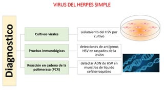 Diagnostico
Cultivos virales
aislamiento del HSV por
cultivo
Pruebas inmunológicas
detecciones de antígenos
HSV en raspados de la
lesión
Reacción en cadena de la
polimerasa (PCR)
detectar ADN de HSV en
muestras de líquido
cefalorraquídeo
VIRUS DEL HERPES SIMPLE
 