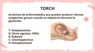 TORCH GINE Clase 2..pptx ginecología basica | PPTX