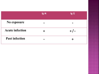 Ig M Ig G
No exposure - -
Acute infection + +/-
Past infection - +
 