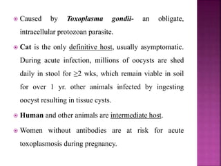  Caused by Toxoplasma gondii- an obligate,
intracellular protozoan parasite.
 Cat is the only definitive host, usually asymptomatic.
During acute infection, millions of oocysts are shed
daily in stool for ≥2 wks, which remain viable in soil
for over 1 yr. other animals infected by ingesting
oocyst resulting in tissue cysts.
 Human and other animals are intermediate host.
 Women without antibodies are at risk for acute
toxoplasmosis during pregnancy.
 