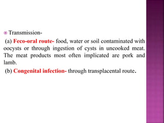  Transmission-
(a) Feco-oral route- food, water or soil contaminated with
oocysts or through ingestion of cysts in uncooked meat.
The meat products most often implicated are pork and
lamb.
(b) Congenital infection- through transplacental route.
 