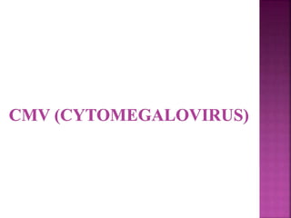  Cause self limiting infection in adults and susceptible
children but effect on fetus can be devastating.
 Epidemic occur every 6 to 9 yrs.
 Fetal infection can occur at any time, but early gestation
infection results in multiple organ anomalies.
 Gestational age ∝
𝐼𝑛𝑓𝑒𝑐𝑡𝑖𝑜𝑛 𝑟𝑎𝑡𝑒
𝐷𝑖𝑠𝑒𝑎𝑠𝑒 𝑠𝑒𝑣𝑒𝑟𝑖𝑡𝑦
 Infection at 10 wks100% of infected have cardiac
defects and deafness
13-16 wks 33% deafness
after 20 wks no anomaly
 