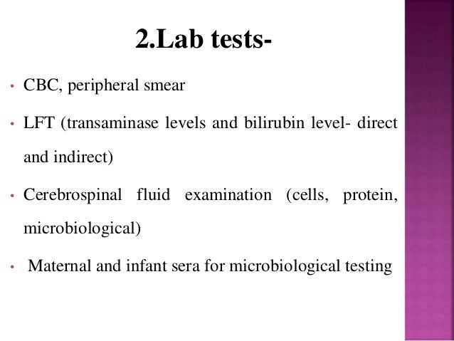 Torch infections by Dr. Dilip