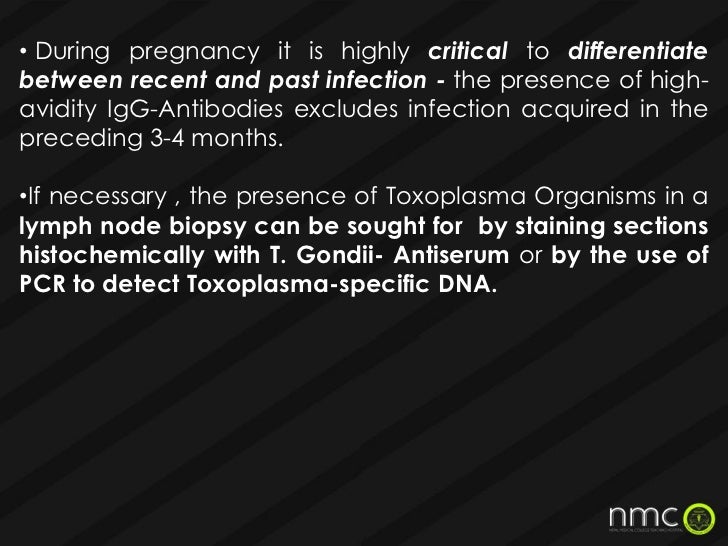Torch infections in pregnancy presentation
