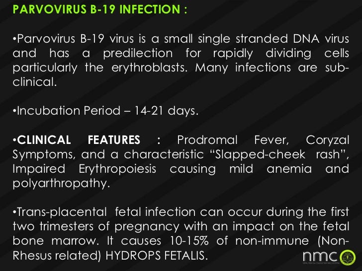 Torch infections in pregnancy presentation