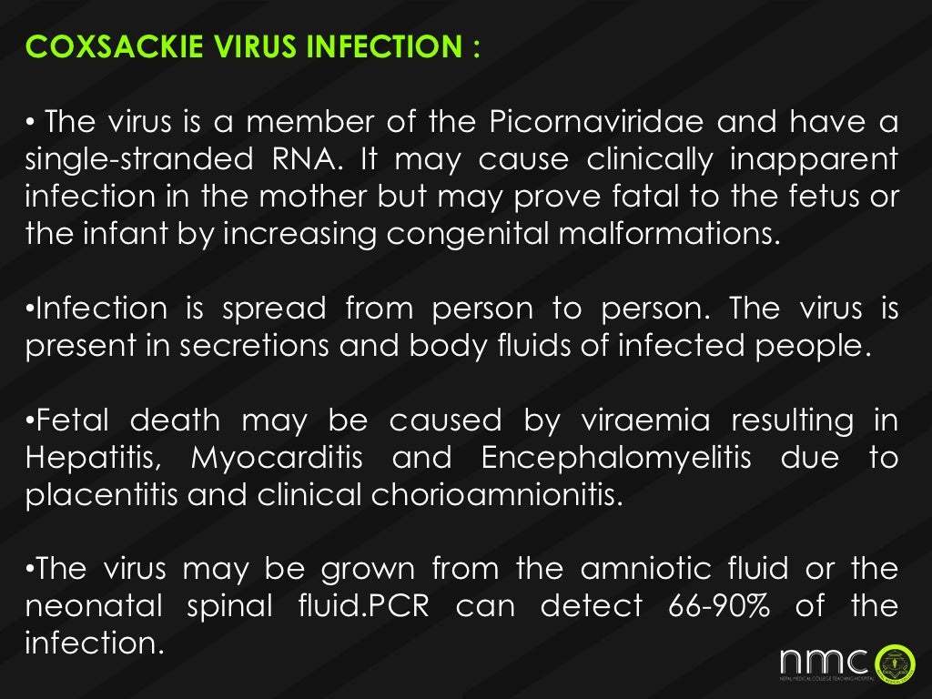 Torch infections in pregnancy presentation