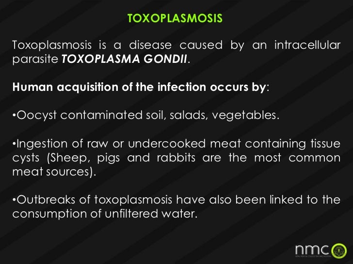 Torch infections in pregnancy presentation