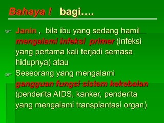 Bahaya ! bagi….
Janin , bila ibu yang sedang hamil
mengalami infeksi primer (infeksi
yang pertama kali terjadi semasa
hidupnya) atau

 Seseorang yang mengalami
gangguan fungsi sistem kekebalan
(penderita AIDS, kanker, penderita
yang mengalami transplantasi organ)
 