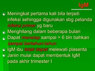 IgM
Meningkat pertama kali bila terjadi
infeksi sehingga digunakan sbg petanda
infeksi primer yg baru
Menghilang dalam beberapa bulan
Dapat menetap sampai > 6 bln bahkan
sampai bertahun-tahun
IgM ibu tidak dapat melewati plasenta
Janin mulai dapat membentuk IgM
pada akhir trimester I





 