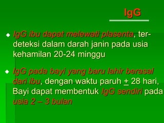 IgG pada bayi yang baru lahir berasal
dari ibu, dengan waktu paruh + 28 hari,
Bayi dapat membentuk IgG sendiri pada
usia 2 – 3 bulan
IgG

IgG ibu dapat melewati plasenta, ter-
deteksi dalam darah janin pada usia
kehamilan 20-24 minggu

 
