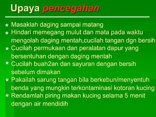 Upaya pencegahan
Masaklah daging sampai matang
Hindari memegang mulut dan mata pada waktu
mengolah daging mentah,cucilah tangan dgn bersih
Cucilah permukaan dan peralatan dapur yang
bersentuhan dengan daging mentah
Cucilah buah2an dan sayuran dengan bersih
sebelum dimakan
Pakailah sarung tangan bila berkebun/menyentuh
benda yang mungkin terkontaminasi kotoran kucing
Rendamlah piring makan kucing selama 5 menit
dengan air mendidih
*
*
*
*
*
*
 