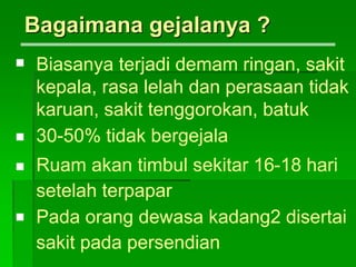 Bagaimana gejalanya ?
Biasanya terjadi demam ringan, sakit
kepala, rasa lelah dan perasaan tidak
karuan, sakit tenggorokan, batuk
30-50% tidak bergejala
Ruam akan timbul sekitar 16-18 hari
setelah terpapar
Pada orang dewasa kadang2 disertai
sakit pada persendian




 