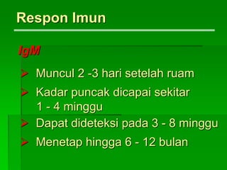 IgM
 Muncul 2 -3 hari setelah ruam
 Kadar puncak dicapai sekitar
1 - 4 minggu
 Dapat dideteksi pada 3 - 8 minggu
 Menetap hingga 6 - 12 bulan
Respon Imun
 