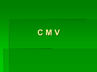 C M V
 