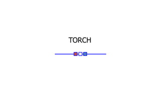 TORCH
 