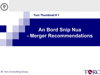 Torc Thumbnail # 1 An Bord Snip Nua - Merger Recommendations 