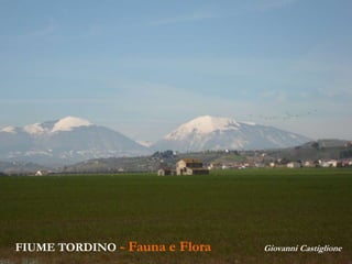 FIUME TORDINO - Fauna e Flora Giovanni Castiglione
 