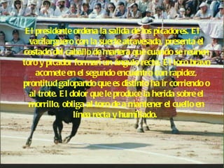 El presidente ordena la salida de los picadores. El varilarguero con la suerte atravesada, presenta el costado del caballo de manera que cuando se reúnen toro y picador forman un ángulo recto. El toro bravo acomete en el segundo encuentro con rapidez, prontitud galopando que es distinto ha ir corriendo o al trote. El dolor que le produce la herida sobre el morrillo, obliga al toro de a mantener el cuello en línea recta y humillado.   