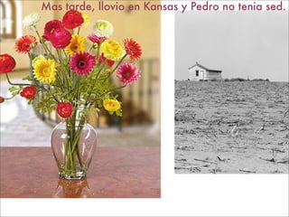 Mas tarde, llovio en Kansas y Pedro no tenia sed.
 