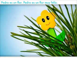 Pedro es un ﬂor. Pedro es un ﬂor muy feliz.
 