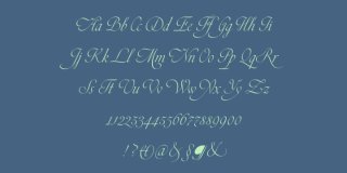 Torio font family download