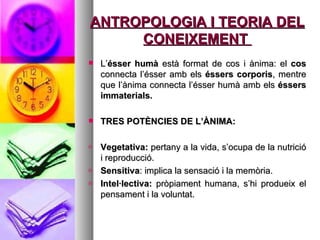 ANTROPOLOGIA I TEORIA DEL CONEIXEMENT  L’ ésser humà  està format de cos i ànima: el  cos  connecta l’ésser amb els  éssers corporis , mentre que l’ànima connecta l’ésser humà amb els  éssers immaterials.  TRES POTÈNCIES DE L’ÀNIMA: Vegetativa:  pertany a la vida, s’ocupa de la nutrició i reproducció. Sensitiva : implica la sensació i la memòria. Intel·lectiva:  pròpiament humana, s’hi produeix el pensament i la voluntat.  
