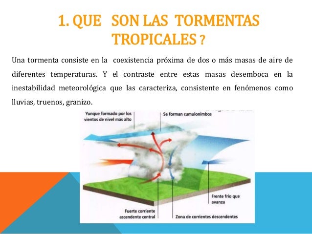 Consecuencias De Las Tormentas En El Ecosistema