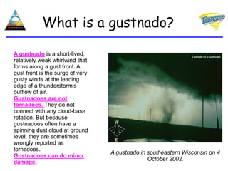 What is a gustnado?
A gustnado is a short-lived,
relatively weak whirlwind that
forms along a gust front. A
gust front is the surge of very
gusty winds at the leading
edge of a thunderstorm's
outflow of air.
Gustnadoes are not
tornadoes. They do not
connect with any cloud-base
rotation. But because
gustnadoes often have a
spinning dust cloud at ground
level, they are sometimes
wrongly reported as
tornadoes.
Gustnadoes can do minor
damage.
A gustnado in southeastern Wisconsin on 4
October 2002.
 