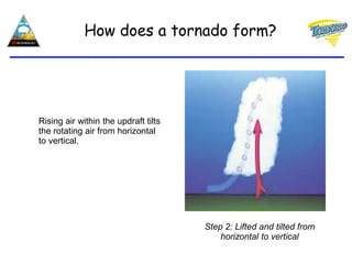 Rising air within the updraft tilts
the rotating air from horizontal
to vertical.
How does a tornado form?
Step 2: Lifted and tilted from
horizontal to vertical
 