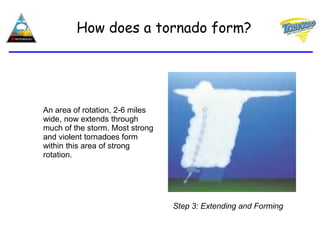 An area of rotation, 2-6 miles
wide, now extends through
much of the storm. Most strong
and violent tornadoes form
within this area of strong
rotation.
How does a tornado form?
Step 3: Extending and Forming
 