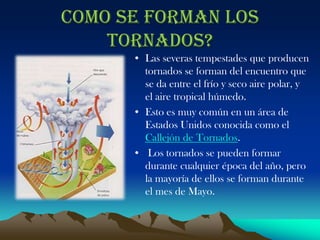 Como se forman los tornados?Las severas tempestades que producen tornados se forman del encuentro que se da entre el frío y seco aire polar, y el aire tropical húmedo. Esto es muy común en un área de Estados Unidos conocida como el Callejón de Tornados. Los tornados se pueden formar durante cualquier época del año, pero la mayoría de ellos se forman durante el mes de Mayo.