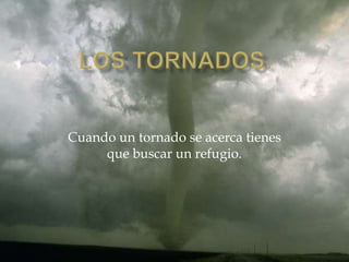 Cuando un tornado se acerca tienes
que buscar un refugio.

 