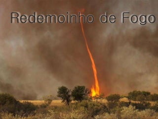 Redemoinho de Fogo 
 
