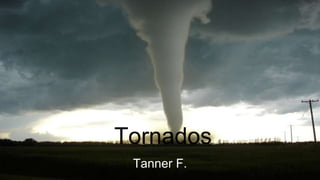 Tornados
Tanner F.
 