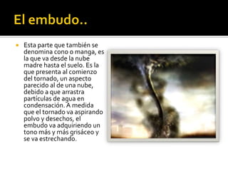    Esta parte que también se
    denomina cono o manga, es
    la que va desde la nube
    madre hasta el suelo. Es la
    que presenta al comienzo
    del tornado, un aspecto
    parecido al de una nube,
    debido a que arrastra
    partículas de agua en
    condensación. A medida
    que el tornado va aspirando
    polvo y desechos, el
    embudo va adquiriendo un
    tono más y más grisáceo y
    se va estrechando.
 