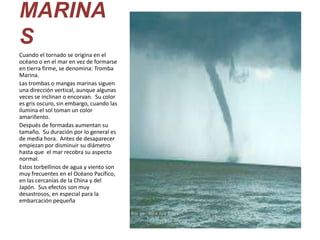 MARINA
S
Cuando el tornado se origina en el
océano o en el mar en vez de formarse
en tierra firme, se denomina: Tromba
Marina.
Las trombas o mangas marinas siguen
una dirección vertical, aunque algunas
veces se inclinan o encorvan. Su color
es gris oscuro, sin embargo, cuando las
ilumina el sol toman un color
amarillento.
Después de formadas aumentan su
tamaño. Su duración por lo general es
de media hora. Antes de desaparecer
empiezan por disminuir su diámetro
hasta que el mar recobra su aspecto
normal.
Estos torbellinos de agua y viento son
muy frecuentes en el Océano Pacífico,
en las cercanías de la China y del
Japón. Sus efectos son muy
desastrosos, en especial para la
embarcación pequeña

 