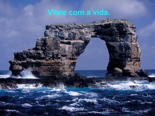 Vibre com a vida. 