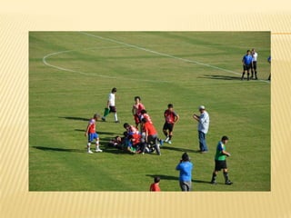 Torneo copa coca cola 2011-2012