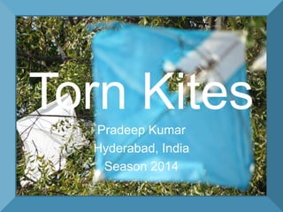 Torn Kites
Pradeep Kumar
Hyderabad, India
Season 2014

 