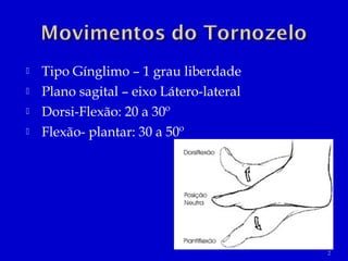  Tipo Gínglimo – 1 grau liberdade
 Plano sagital – eixo Látero-lateral
 Dorsi-Flexão: 20 a 30º
 Flexão- plantar: 30 a 50º
2
 