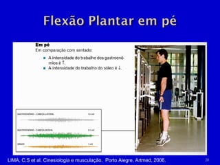 20LIMA, C.S et al. Cinesiologia e musculação. Porto Alegre, Artmed, 2006.
 