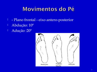  - Plano frontal - eixo antero-posterior
 Abdução: 10º
 Adução :20º
3
 
