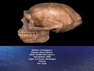 Nombre: Cromagnon 1 Especie: Homo Sapiens  Edad: 30.000 años (aprox.) Descubierto: 1868 Lugar: Les Eyzier, Dordongne Francia Por: Louis   