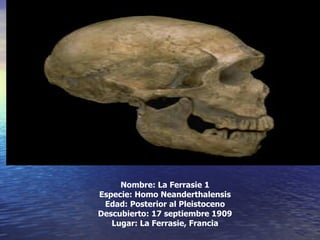 Nombre: La Ferrasie 1 Especie: Homo Neanderthalensis Edad: Posterior al Pleistoceno Descubierto: 17 septiembre 1909 Lugar: La Ferrasie, Francia 