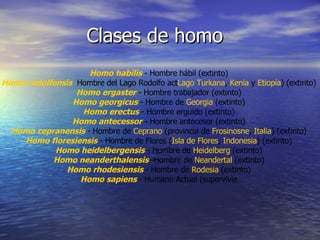 Clases de homo Homo habilis  - Hombre hábil (extinto)  Homo rudolfensis   Hombre del Lago Rodolfo act Lago Turkana ,  Kenia  y  Etiopía ) (extinto)  Homo ergaster  - Hombre trabajador (extinto)  Homo georgicus  - Hombre de  Georgia  (extinto)  Homo erectus  - Hombre erguido (extinto)  Homo antecessor  - Hombre antecesor (extinto)  Homo cepranensis  - Hombre de  Ceprano  (provincia de  Frosinosne ,  Italia ) (extinto)  Homo floresiensis  - Hombre de Flores ( Isla de Flores ,  Indonesia ) (extinto)  Homo heidelbergensis  - Hombre de  Heidelberg  (extinto)  Homo neanderthalensis  -Hombre de  Neandertal  (extinto)  Homo rhodesiensis  - Hombre de  Rodesia  (extinto)  Homo sapiens  - Humano Actual (supervivie  