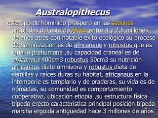 Australopithecus este tipo de homínido prosperó en las  sabanas  arboladas del este de  África  entre 4 y 2,5 millones de años atrás con notable éxito ecológico su proceso de hominizacion es de  africanaus  y  robustus  que es igual a  prehumana  ,su capacidad craneal es de  africanaus  400cm3  robustus  50cm3 su nutrición  africanaus  diete omnívora y  robustus  dieta de semillas y raíces duras su hábitat,  africanaus  en la intemperie es templario y de praderas, su vida es de nómadas, su comunidad es comportamiento cooperativo, ubicación etiopia ,su estructura física bípedo erecto característica principal posición bípeda marcha erguida antigüedad hace 3 millones de años  
