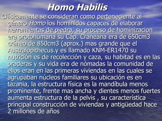 Homo Habilis Clásicamente se consideran como perteneciente al género  Homo  los hominidos capaces de elaborar herramientas de piedra, su proceso de hominizacion era protohumana su Cáp. Craneana era de 650cm3 cráneo de 850cm3 (aprox.) mas grande que el Australopithecus.y es llamado KNM-ER1470 su nutrición es de recolección y caza, su habitad es en las praderas y su vida era de nómadas la comunidad de ellos eran en las primeras viviendas en las cuales se agrupaban núcleos familiares su ubicación es en tazania, la estructura física es la mandíbula menos prominente, frente mas ancha y dientes menos fuertes aumenta estructura de la pelvis , su característica principal construcción de viviendas y antigüedad hace 2 millones de años 