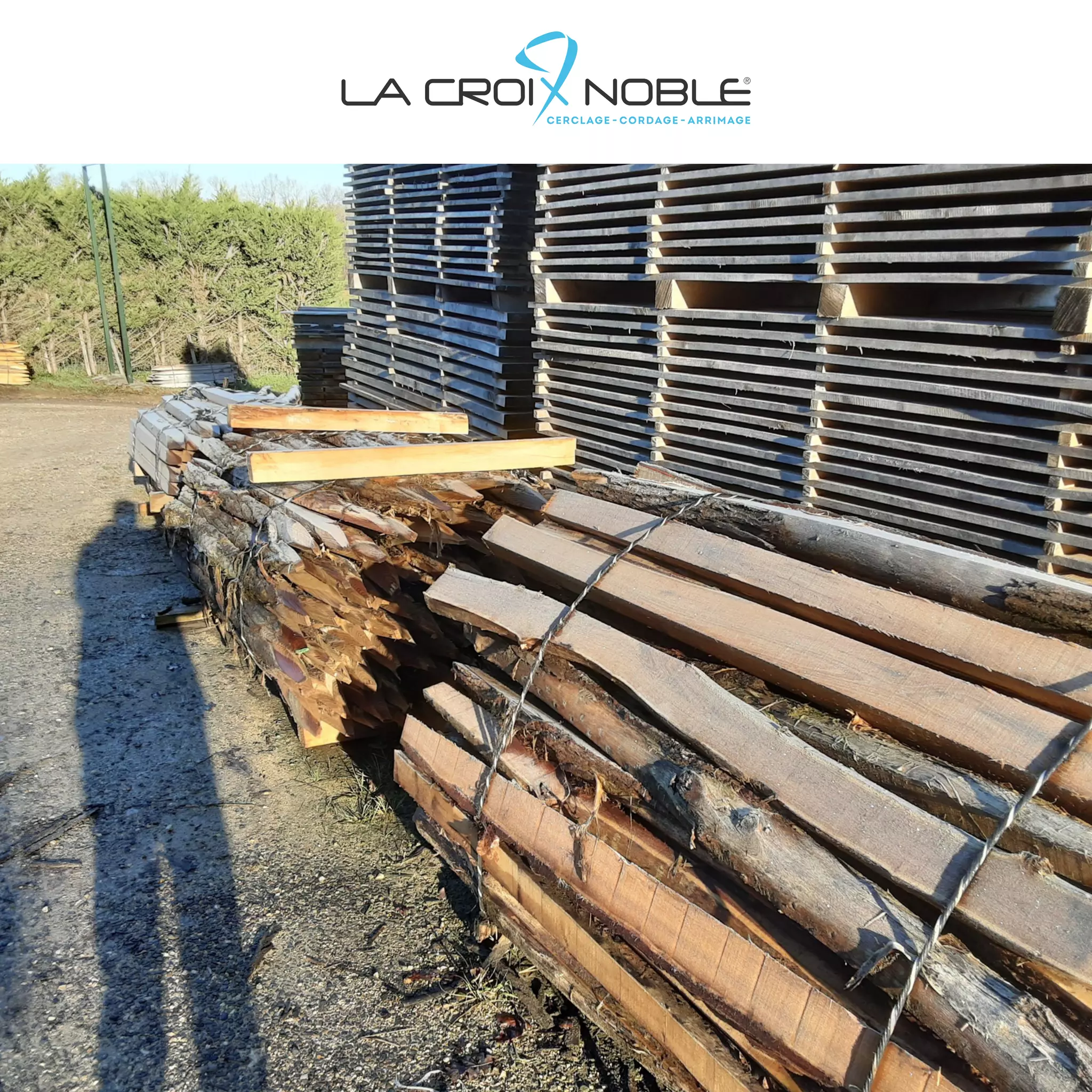 Fagot De Bois 6 Lettres