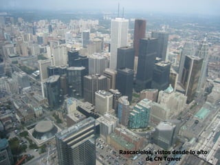 Rascacielos, vistos desde lo alto
         de CN Tower
 
